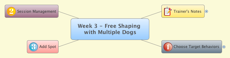 Week 3 Freeshaping Multiple Dogs
