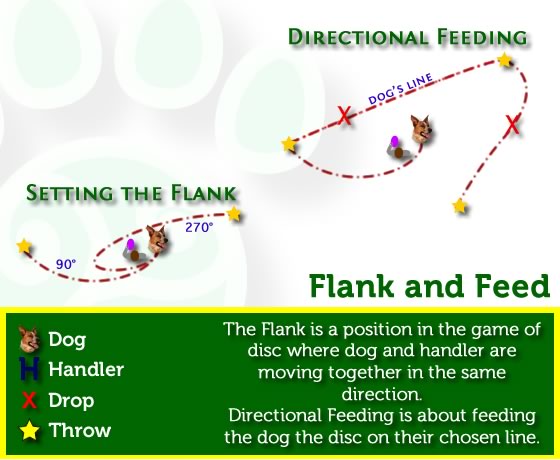 Flanking and Feeding