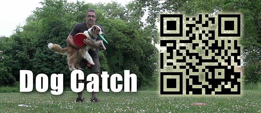 dog-catch-moo