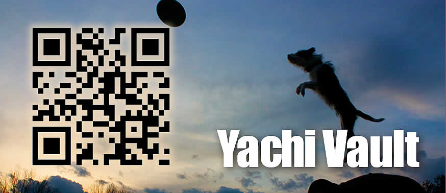 Yachi Vault