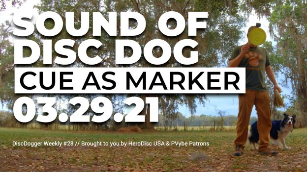 The Sound of DiscDog | Cue as Marker