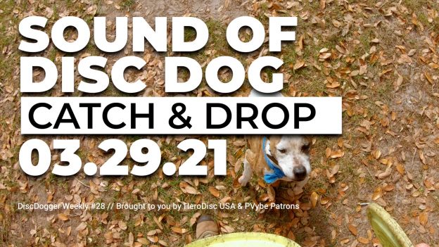 The Sound of DiscDog | Drop & Catch with Obi