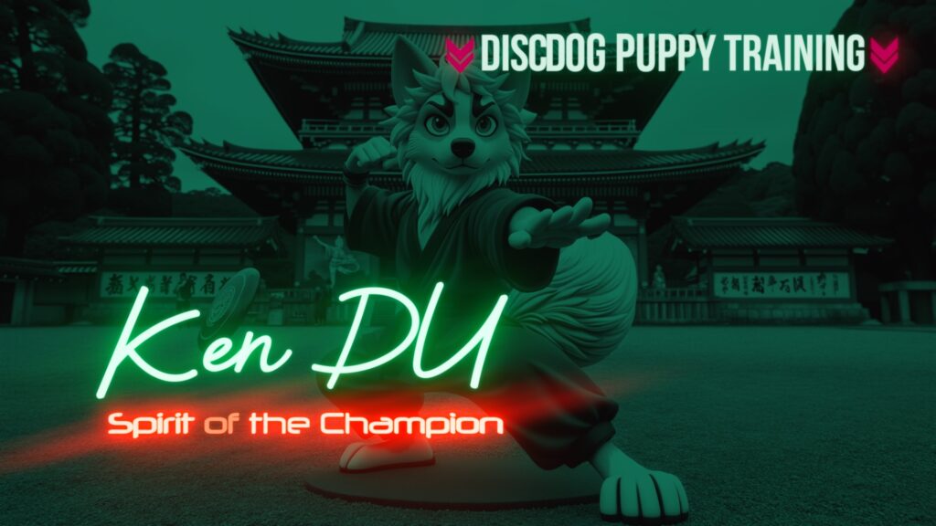 Ken Du DiscDog Puppy Training